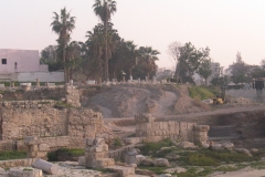 egypt-83